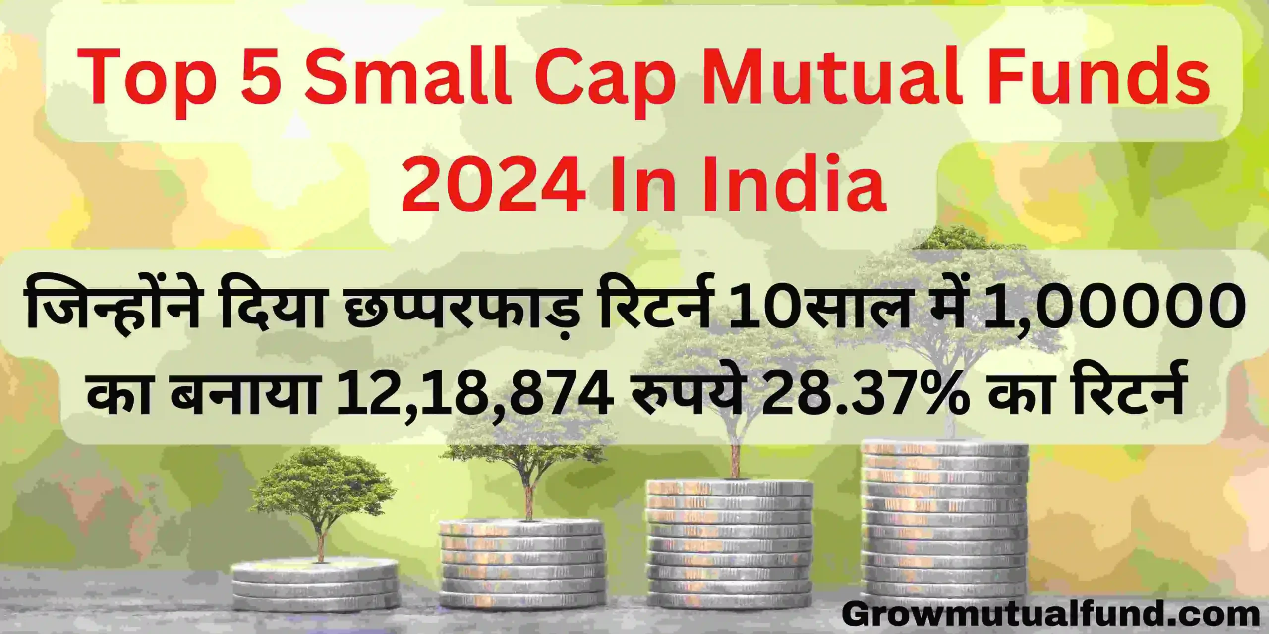 top 5 small cap mutual funds 2024 in india